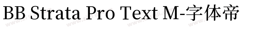 BB Strata Pro Text M字体转换